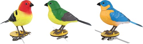 Van Manen oiseau jouet Singing Bird rouge vert bleu plastique-2