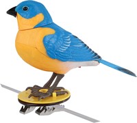 Van Manen oiseau jouet Singing Bird rouge vert bleu plastique-3