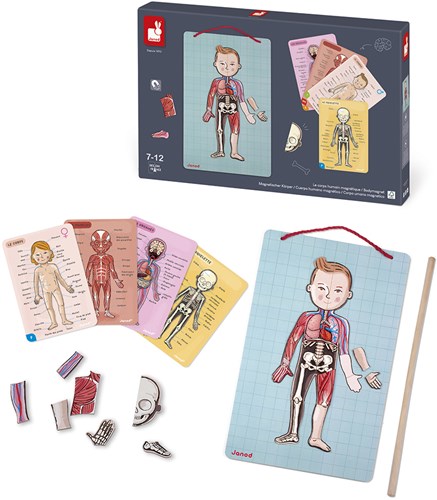 Janod Jeu Magnétique Corps Humain - Jouet Éducatif Biologie Anatomie-3