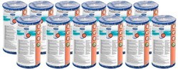 Bestway cartouches de filtre piscine - lot de 12 cartouches A III-A/C