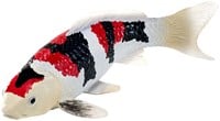 Mojo Sealife Koi Karper - Showa Sanshoku Koi - 381103-2