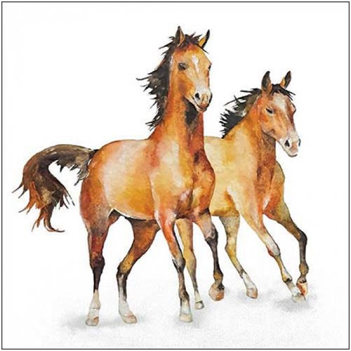 Ambiente serviettes chevaux 33x33 cm FSC 3 plis décoration de table