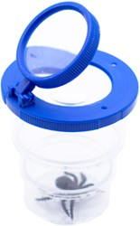 Eduplay jouet loupe Pull-out Box bleu - outil de découverte