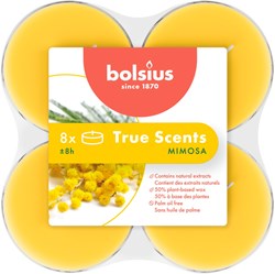 Bolsius bougies chauffe-plat maxi mimosa 8 pièces - longue durée