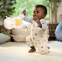 Ingenuity peluche jouet Calm Springs Activity Pal Sheppy bébé cadeau