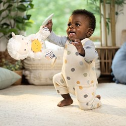 Ingenuity peluche jouet Calm Springs Activity Pal Sheppy bébé cadeau