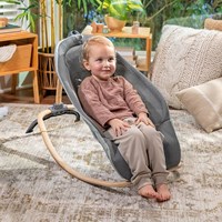Ingenuity siège à bascule bébé Every Season Wesley avec jouets en bois-3