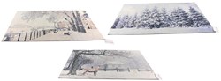 Deurmat winter 43x73cm