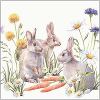Ambiente serviettes en papier Carrot treat 33x33cm décoration blanche