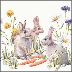 Ambiente Servetten Carrot treat 33x33cm