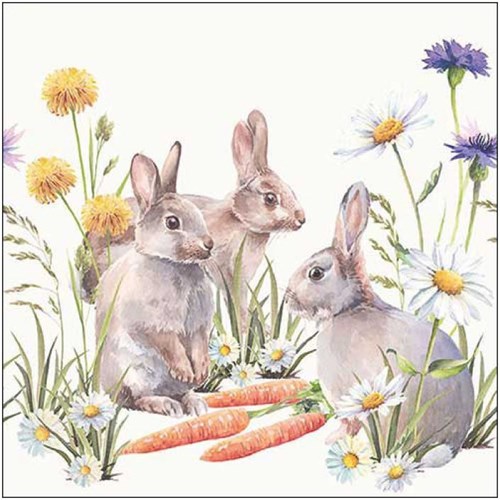 Ambiente serviettes en papier Carrot treat 33x33cm décoration blanche