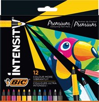 BIC feutres Intensity coffret luxe 12 couleurs set premium