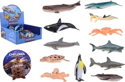 36 animaux marins du monde animal en affichage 26867