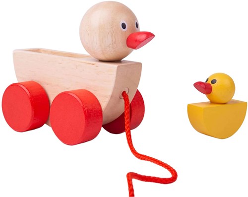 Bigjigs Canard et Caneton