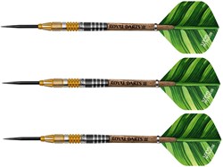Royal Darts fléchettes pointe acier Green Line 21 grammes NT95 précision