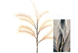 HBX natural living branche de pampa décorative LED rose 72cm