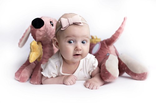 Mom's Care SOFT BABY TOYS Sensory Dachshund Toy pink 5