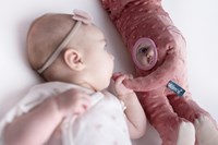 Mom's Care SOFT BABY TOYS Sensory Dachshund Toy pink 6