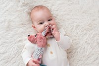 Mom's Care jouet de dentition bébé Jami chien rose avec hochet et étiquettes-2