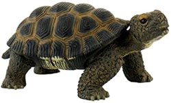 Bullyland tortue figurine de jeu - animal réaliste en caoutchouc 13 cm