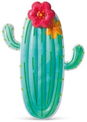 INTEX Flotteur Cactus