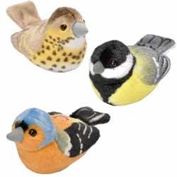 Peluches Oiseaux