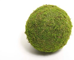 HBX natural living boule de mousse décoration verte 20cm pour intérieur