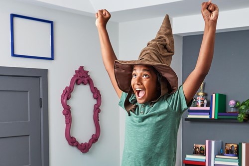 Harry Potter – Interactive Sorting Hat (Dutch And French)-3