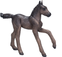 Mojo Horses speelgoed paard Arabisch Veulen Zwart - 381015