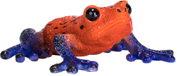 Mojo Jouet Wildlife Grenouille à fléchettes empoisonnées - 381016