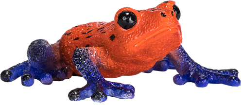 Mojo Jouet Wildlife Grenouille à fléchettes empoisonnées - 381016