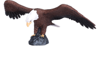 Mojo Jouet Woodland Aigle Américain - 387027-3