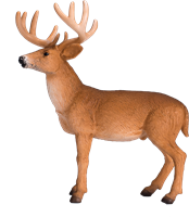 Mojo Jouet Woodland Cerf à queue blanche - 387038