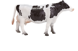 Mojo Jouet de ferme Vache Holstein - 387062