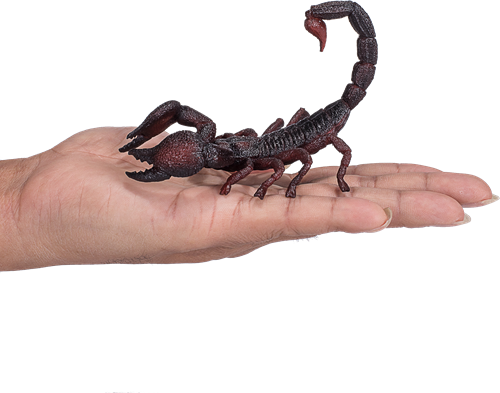 Mojo Wildlife jouet Empereur Scorpion - 387133-3
