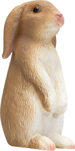 Mojo Pets - Rabbit Sitting  387141