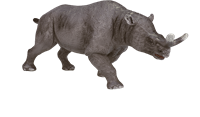 Mojo speelgoed dinosaurus Brontotherium - 387155