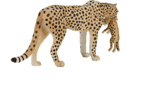 Mojo Wildlife speelgoed Cheetah Vrouwtje met Welp - 387167