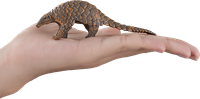 Mojo Jouet Wildlife Pangolin Indien - 387174-3