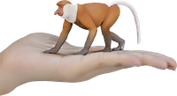 Mojo Jouet Wildlife Proboscis Monkey - 387176-3