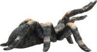 Mojo Jouet de la faune Red-knee tarantula - 387213
