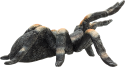 Mojo Jouet de la faune Red-knee tarantula - 387213