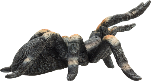 Mojo Jouet de la faune Red-knee tarantula - 387213