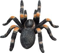 Mojo Jouet de la faune Red-knee tarantula - 387213-2