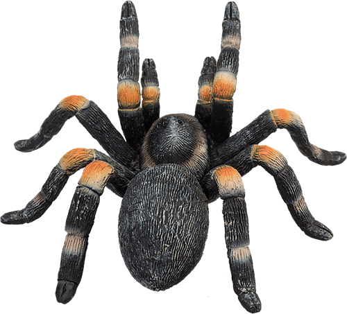 Mojo Jouet de la faune Red-knee tarantula - 387213-2