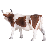 Mojo Farm speelgoed Simmental Koe - 387220