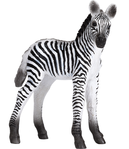 Mojo Wildlife speelgoed Zebra Veulen - 387394