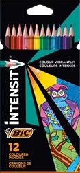 BIC crayons de couleur set - 12 pièces - prise triangulaire - extra résistant