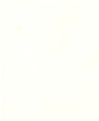 Fotokarton folia beige 50x70cm 300gr pak a 25 vel