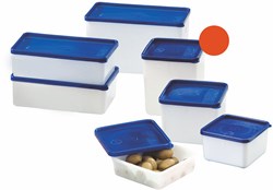Westmark boîtes de congélation boîtes alimentaires 3 pièces 1,25 litre blanc-bleu